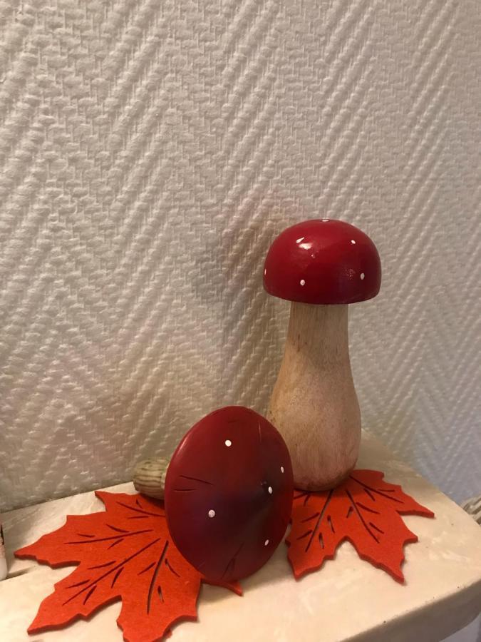 זלסטאט Appartement Chez Fabie מראה חיצוני תמונה