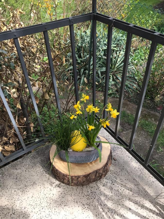 זלסטאט Appartement Chez Fabie מראה חיצוני תמונה