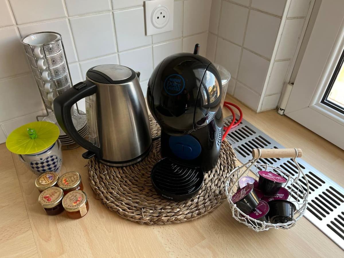 זלסטאט Appartement Chez Fabie מראה חיצוני תמונה